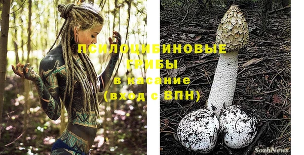 дмт Армянск