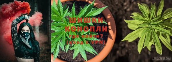 дмт Армянск