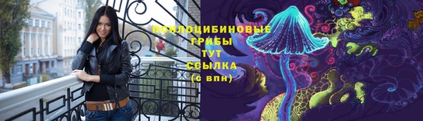 дживик Аркадак