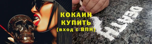 дживик Аркадак