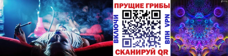 KRAKEN ONION  цена   Динская  Галлюциногенные грибы Psilocybine cubensis 